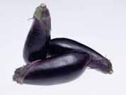 Ȃ